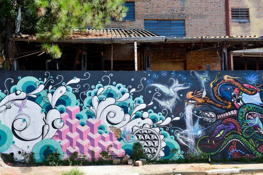 São Paulo Street Art Tour - What to bring for a better day