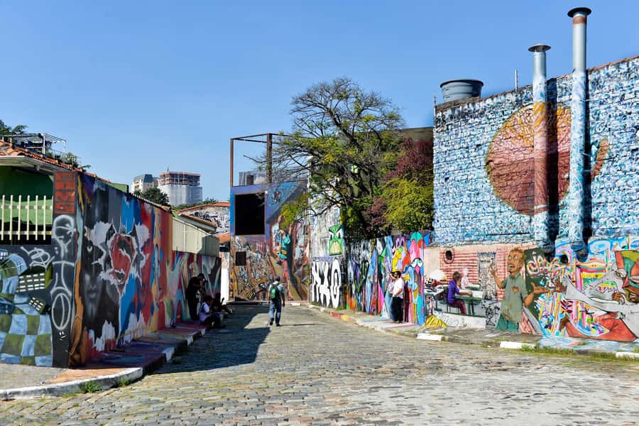 São Paulo Street Art Tour - Transport, pickup, and the private option