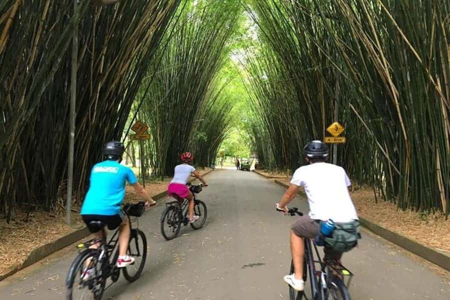 Sao Paulo: The Coolest Urban Scenes Bike Tour - Why a Bike Is a Good Way to Meet São Paulo