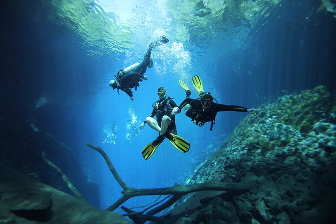 Skip the Line: Lagoa Misteriosa Admission Ticket with Scuba Diving Experience - Lagoa Misteriosa and its blue drop into the earth