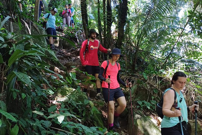 Small Group Hike to Saco Bravo Waterfall - The 6:30 a.m. start in Paraty