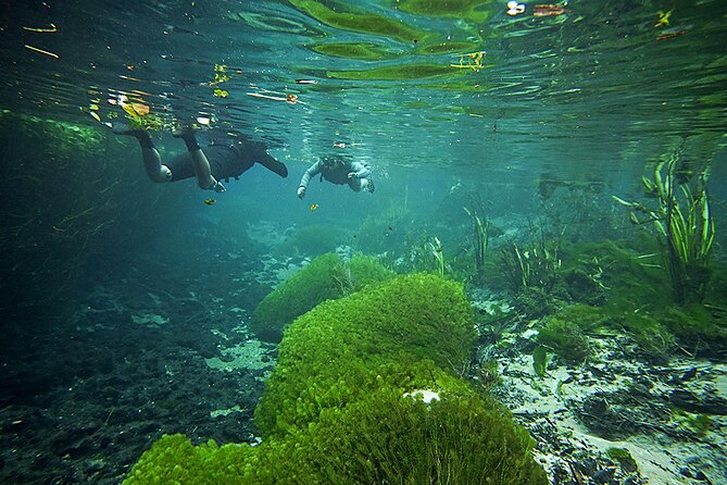 Snorkel in the Sucuri River - Key points to know before booking