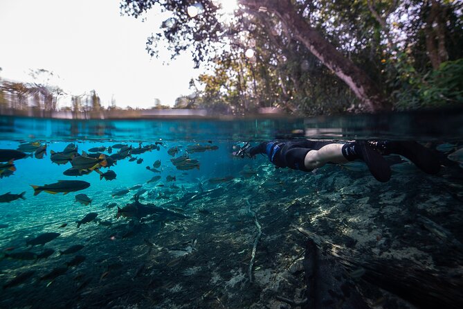 Snorkel in the Sucuri River - From central Bonito to Hacienda São Geraldo