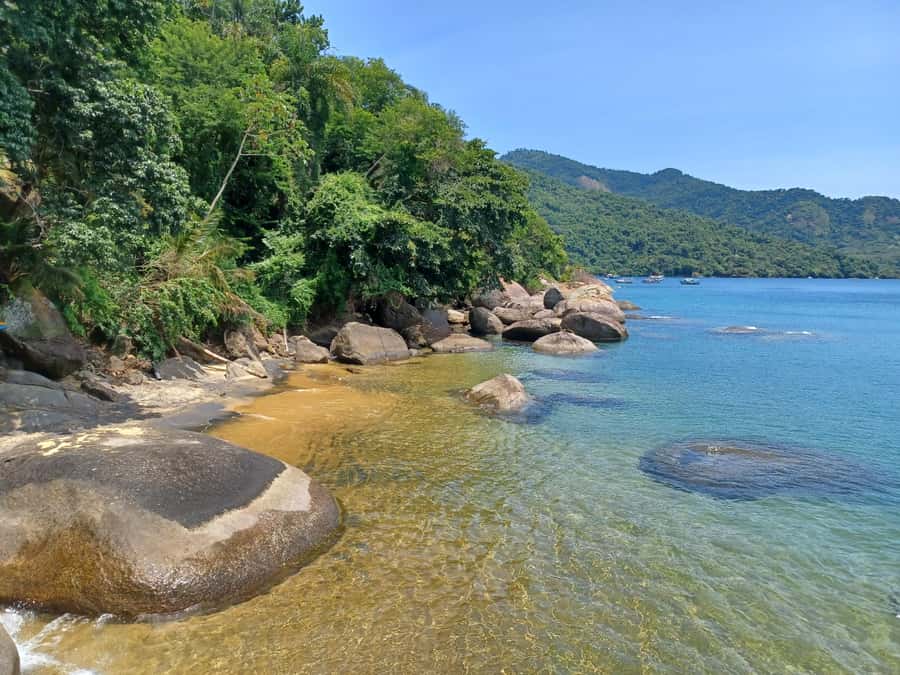Snorkeling with turtles in their natural habitat - Freguesia de Santana for a change of pace