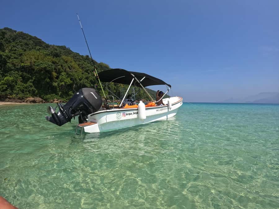 Snorkeling with turtles in their natural habitat - Is $602 good value?