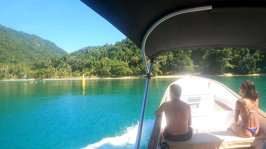Snorkeling with turtles in their natural habitat - Booking details and practical expectations