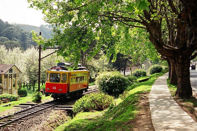 The Brazilian Switzerland - Day Trip on Campos do Jordão from São Paulo - Boa Vista Palace and the first mountain views