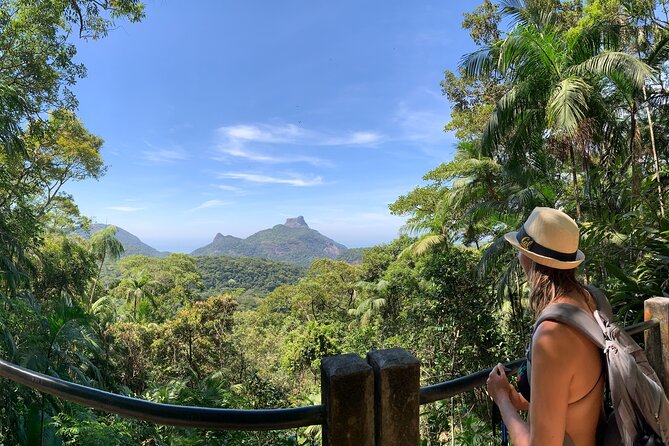 Tijuca Forest Hike - Waterfalls & Caves, Nature & Wild Life! - Key points before you book