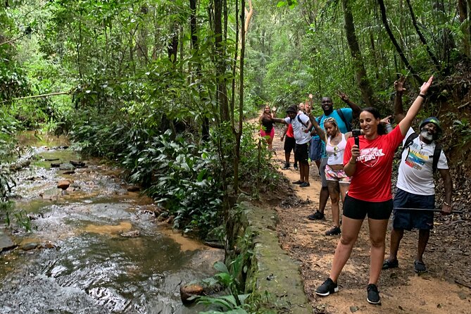 Tijuca Forest Hike - Waterfalls & Caves, Nature & Wild Life! - Why this Tijuca Forest route works so well