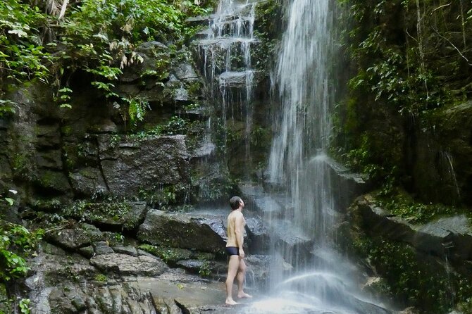 Tijuca Forest Hike - Waterfalls & Caves, Nature & Wild Life! - The guides make the forest easier to understand