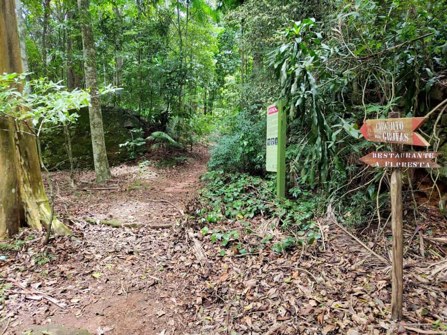 Tijuca Forest´s hike: caves, waterfalls and great views - Who should book this Tijuca Forest hike?