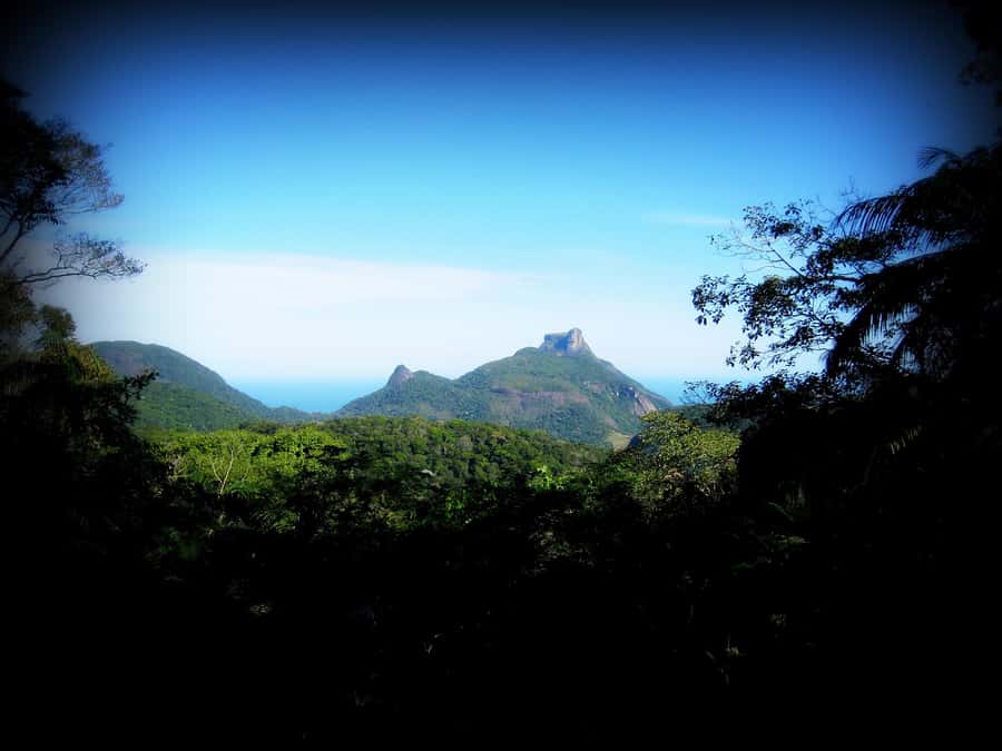 Tijuca Forest´s hike: caves, waterfalls and great views - Waterfalls, Cachoeira das Almas, and time to swim