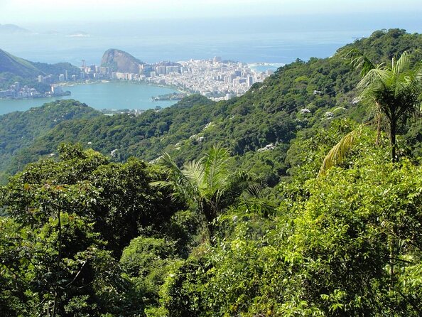 Tijuca National Park and all its wonders - Why Tijuca National Park is worth your morning