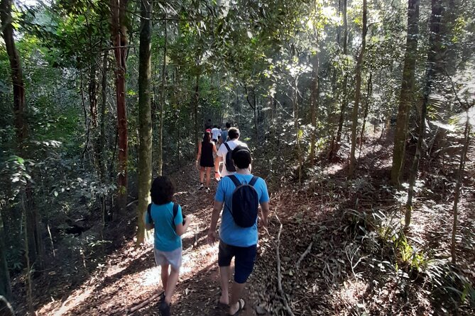 Tijuca National Park and all its wonders - Cascatinha Taunay and the 35-meter drop