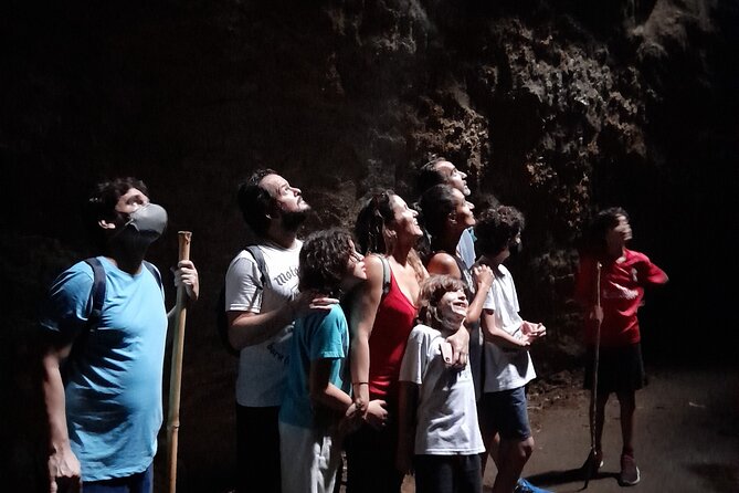 Tijuca National Park and all its wonders - A guide-led walk that adapts to you
