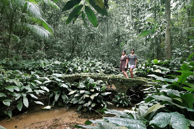 Tijuca National Park and all its wonders - Weather, cancellations, and practical limits