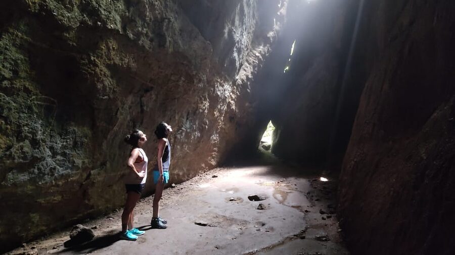 Tijuca National Park and all its wonders! - What the guide adds to the experience