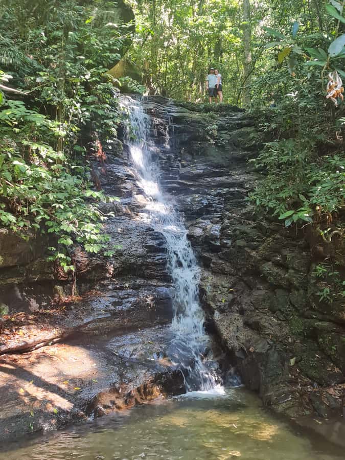Tijuca Rain Forest - Adventure through Waterfalls & Caves - Baronesa Waterfall and the chance to get wet