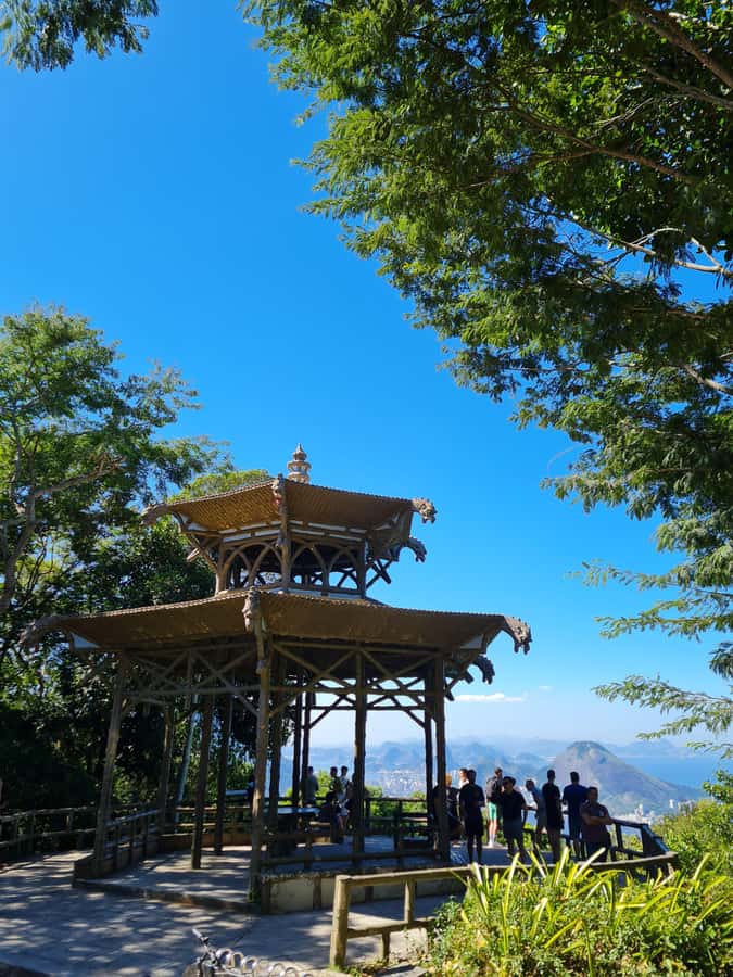 Tijuca Rain Forest - Adventure through Waterfalls & Caves - What Samuca adds to the experience