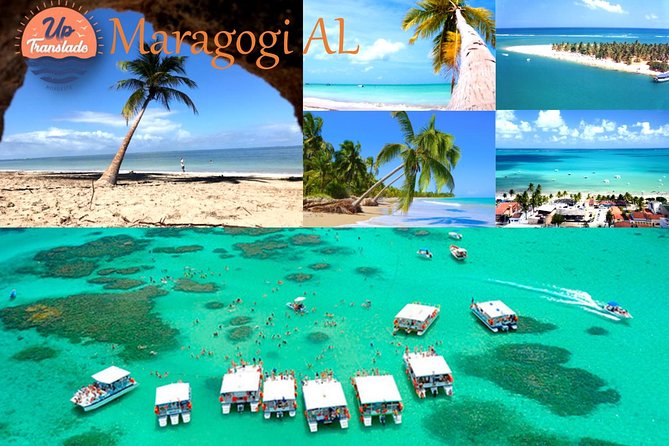 Tour To Maragogi AL - Why Maragogi makes a worthwhile day from Porto de Galinhas