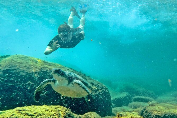 Turtle Snorkeling by Adrenailha - Getting fitted with mask, fins, and neoprene