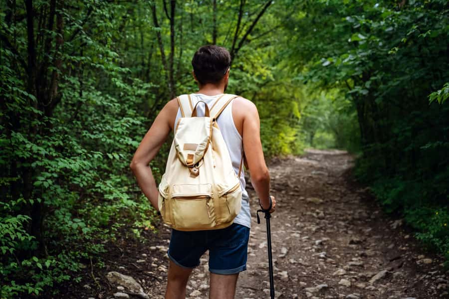 Walk to the Big Rock in Cantareira State Park - A forest walk with wildlife potential